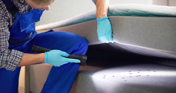 Best Best Pest Control Companies  in Triangle, VA