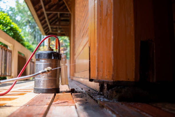 Best Pest Control Cost  in Triangle, VA
