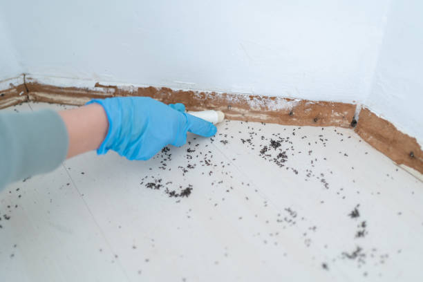 Best Wildlife Control Services  in Triangle, VA